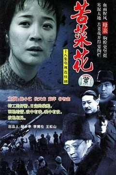 免费在线观看完整版大陆剧《苦菜花 2004》