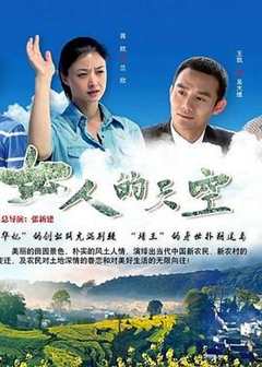 免费在线观看完整版大陆剧《女人的天空》