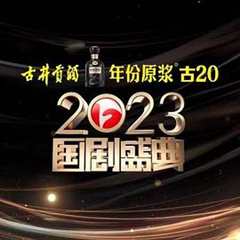 免费在线观看《2023国剧盛典》