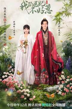 免费在线观看完整版大陆剧《我的医妃不好惹3》