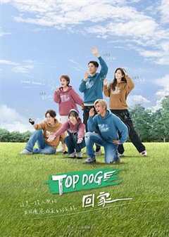 免费在线观看《TOP DOG》