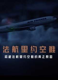 免费在线观看《法航里约空难》