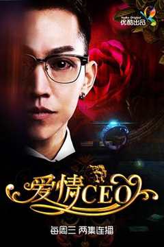 免费在线观看完整版大陆剧《爱情CEO》