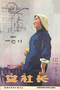 免费在线观看《女社长》