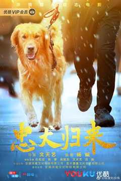 免费在线观看《忠犬归来》