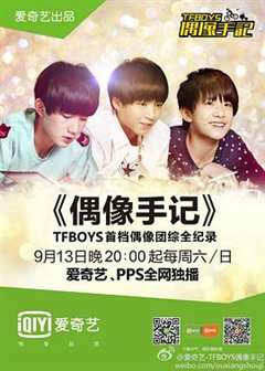 免费在线观看《TFBOYS偶像手记》