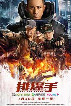 免费在线观看《排爆手2022》