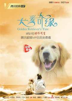 免费在线观看《犬爱奇缘》