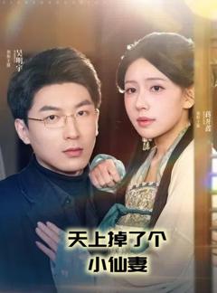 免费在线观看《天上掉了个小仙妻(天上掉下个小仙女)》