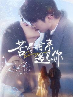 免费在线观看《苦尽甘来遇见你》