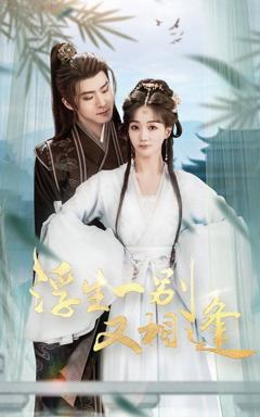 免费在线观看《浮生一别又相逢》