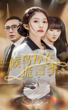 免费在线观看《候鸟停在谎言季》