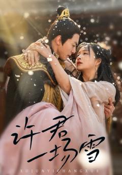 免费在线观看《许君一场雪》