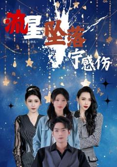 免费在线观看《流星坠落宁感伤》
