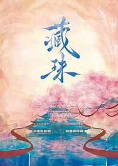 免费在线观看完整版大陆剧《藏珠》