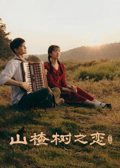 免费在线观看完整版大陆剧《山楂树之恋》