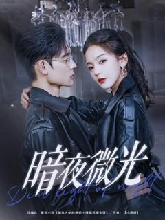 免费在线观看《暗夜微光》
