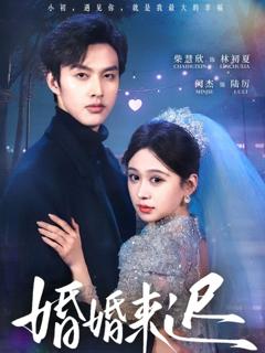 免费在线观看《婚婚来迟》