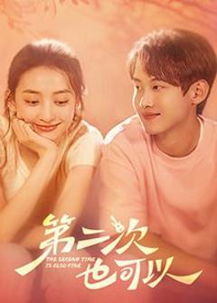 免费在线观看完整版大陆剧《第二次也可以》