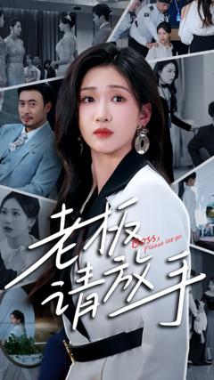 免费在线观看《老板请放手》