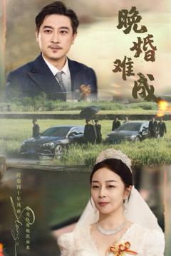 免费在线观看《晚婚难成》