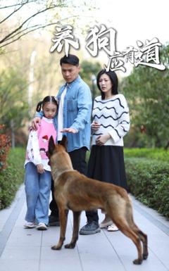 免费在线观看《养狗应有道》