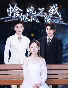 免费在线观看《恰似晚风不留我（弃他如风）》