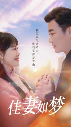 免费在线观看《新佳妻如梦》
