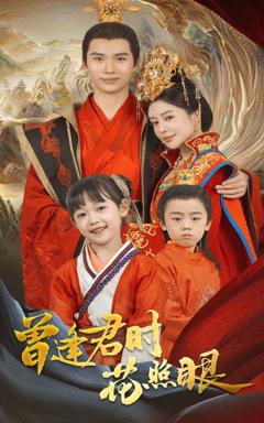 免费在线观看《曾逢君时花照眼》