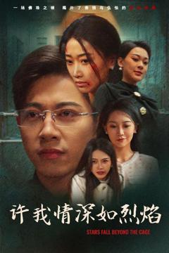 免费在线观看《许我情深如烈焰》