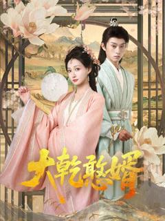 免费在线观看《大乾憨婿》