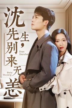 免费在线观看《沈先生别来无恙》