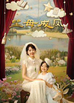 免费在线观看完整版大陆剧《望母成凤》