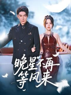免费在线观看《晚星不再等风来》