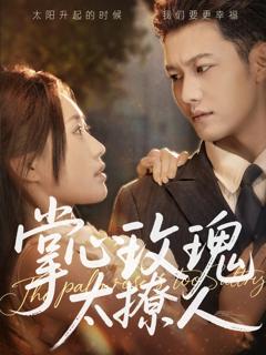 免费在线观看《掌心玫瑰太撩人》