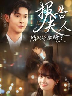免费在线观看《报告夫人陆总又在撒糖了》