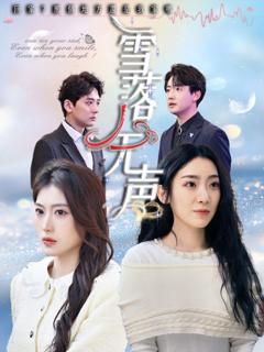 免费在线观看《雪落无声》