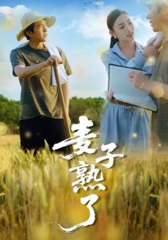 免费在线观看《麦子熟了》