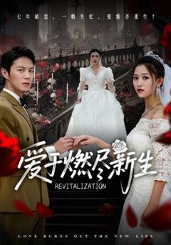 免费在线观看《爱于燃尽新生》