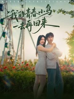 免费在线观看《我的青春小鸟一去再回来》