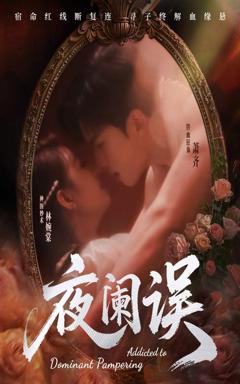 免费在线观看《夜阑误》