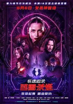 免费在线观看《疾速追杀：芭蕾杀姬》