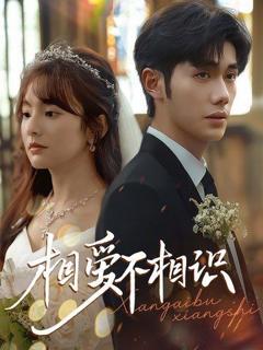 免费在线观看《相爱不相识》
