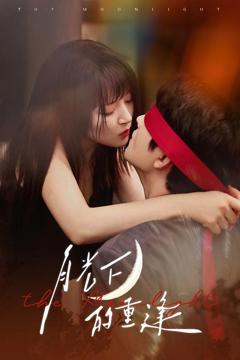 免费在线观看《月光下的重逢》