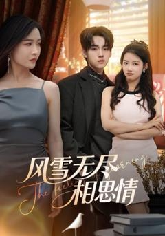 免费在线观看《风雪无尽相思情》