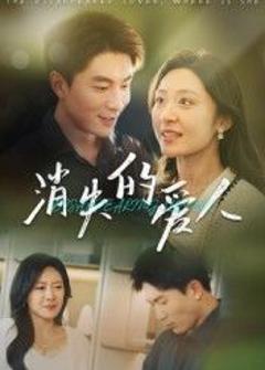 免费在线观看完整版大陆剧《消失的爱人》
