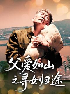 免费在线观看《父爱如山之寻女归途》