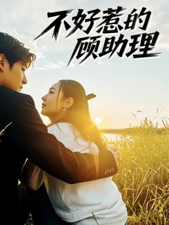 免费在线观看《不好惹的顾助理》