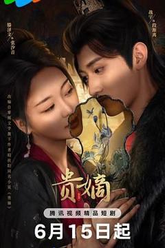 免费在线观看完整版大陆剧《贵嫡》