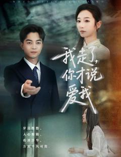 免费在线观看《我走了你才说爱我》